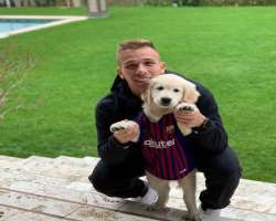 The player is fond of dogs and keeps one as his pet.